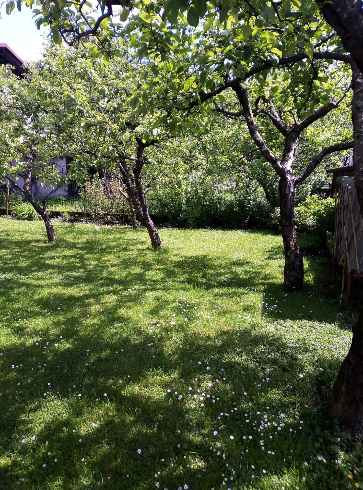 Apartma Rutar Толмин Экстерьер фото